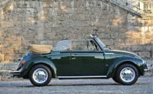 Green Beetle Wedding