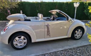 Beetle Love Bodas