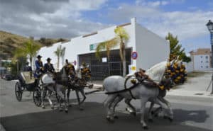 Centro Ecuestre El Rocio
