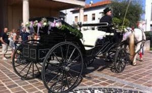 La magia del caballo