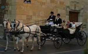 OAC Coche de Caballos