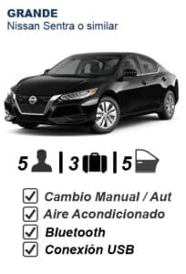 Alquiler auto grande