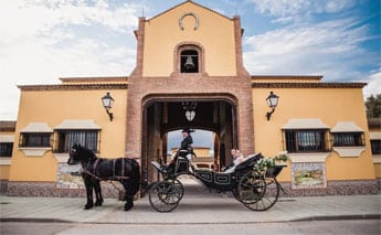 Alquilar Yeguada Pelayo