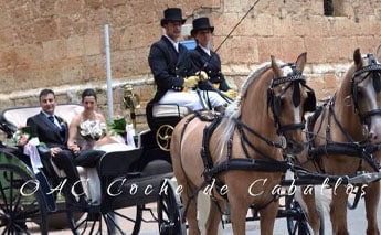 Alquilar OAC Coche de Caballos
