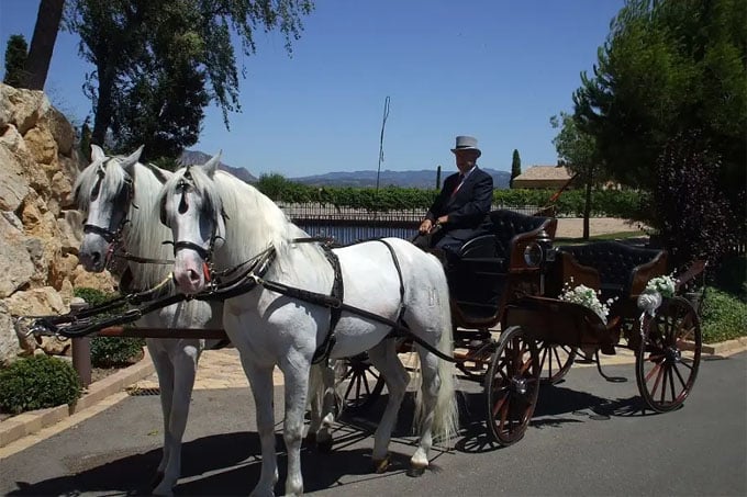 Carruajes de caballos