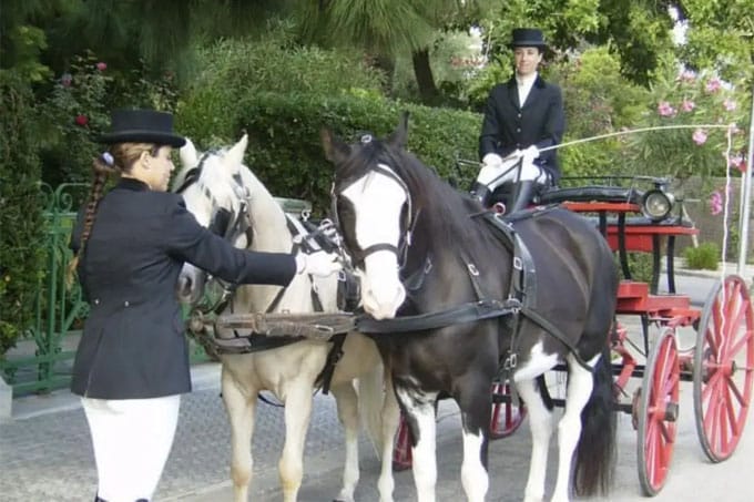 Coche de caballos