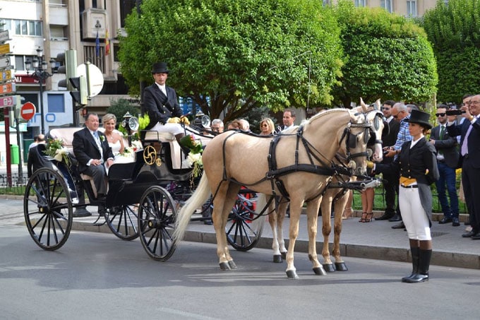 Carruaje de caballos