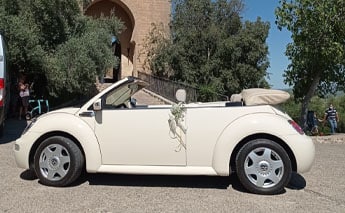 Alquilar Beetle Love Bodas