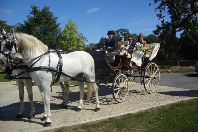 Coches de caballos
