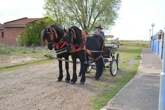 Coche de caballos