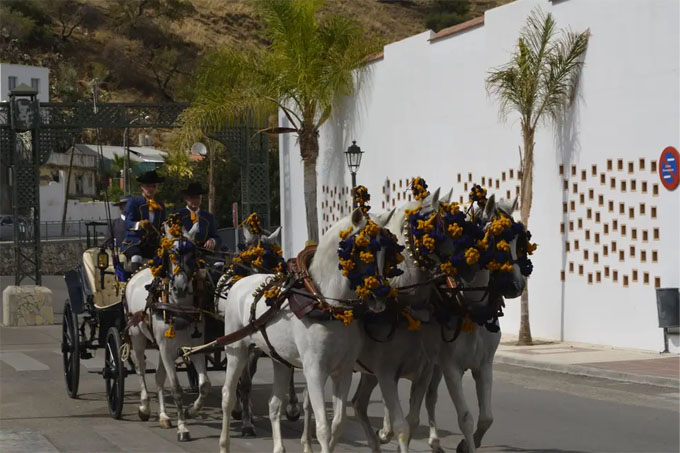 Coche de caballos